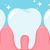How Should You Care of Your Teeth and Gums